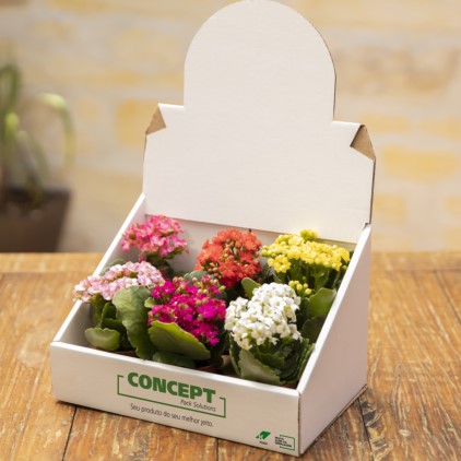 Embalagens para floriculturas