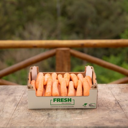 Embalajes para frutas, verduras y legumbres 