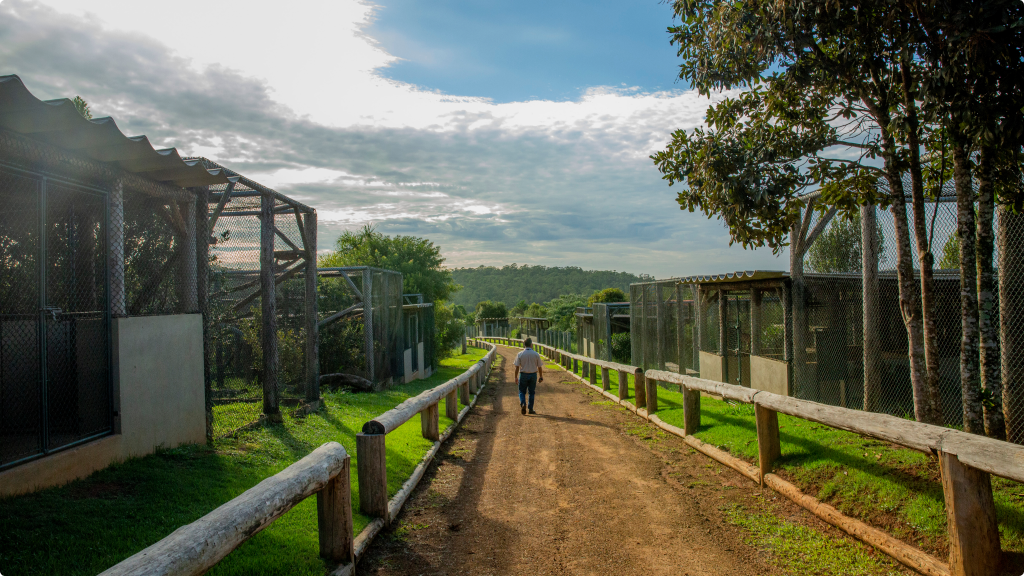 Parque Ecológico Klabin