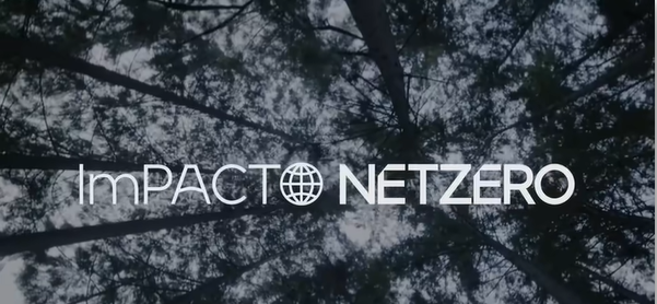 ImPacto NetZero