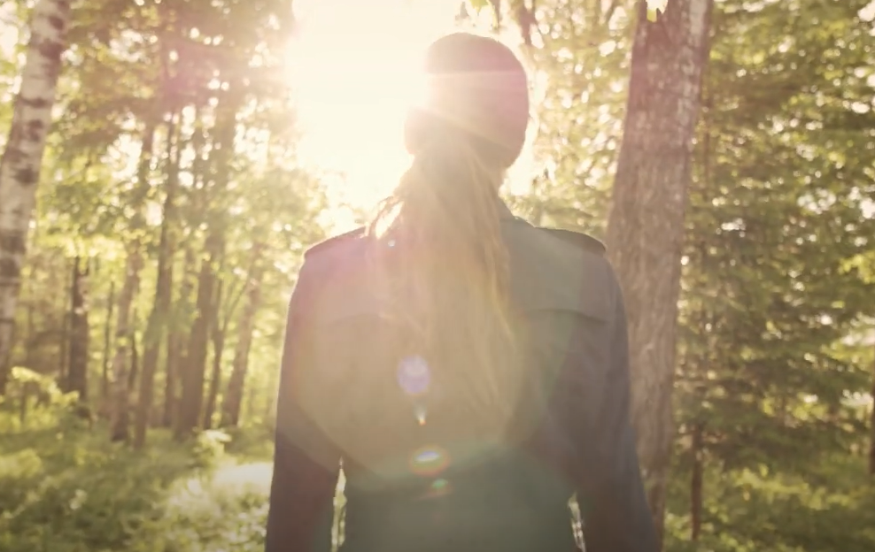 Klabin | Todas Florestas Importam