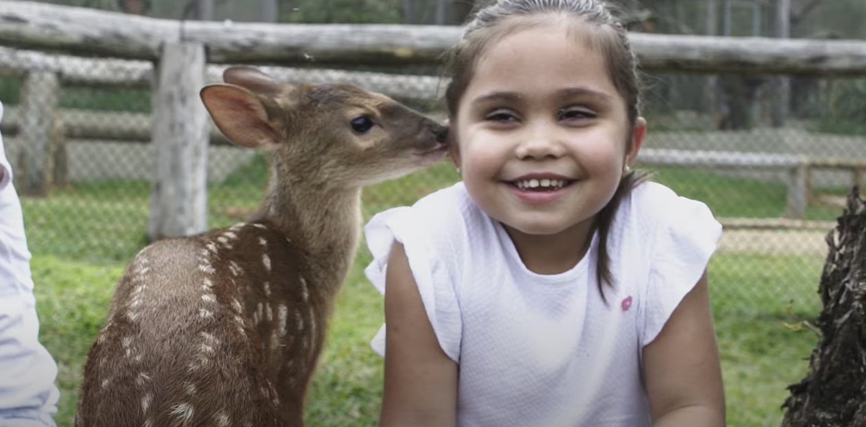 Parque Ecológico Klabin: respeitar a vida é preservar o futuro 